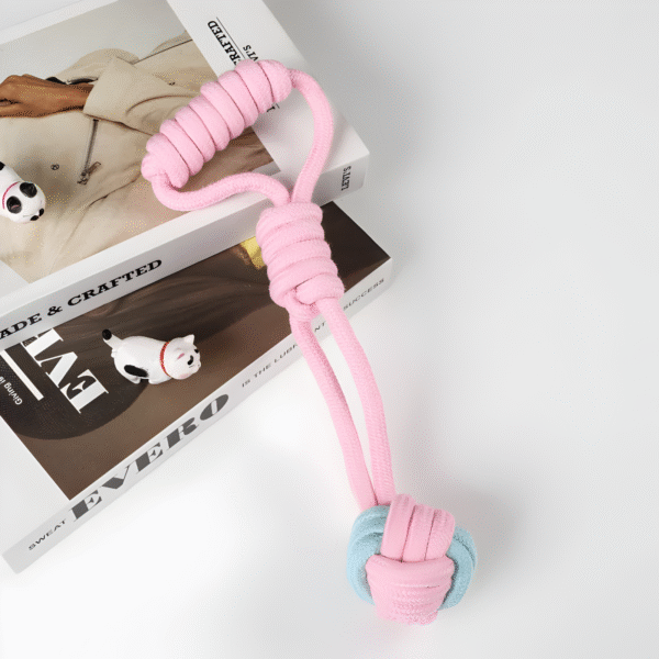 Set X10 juguetes masticables para perros y gatos