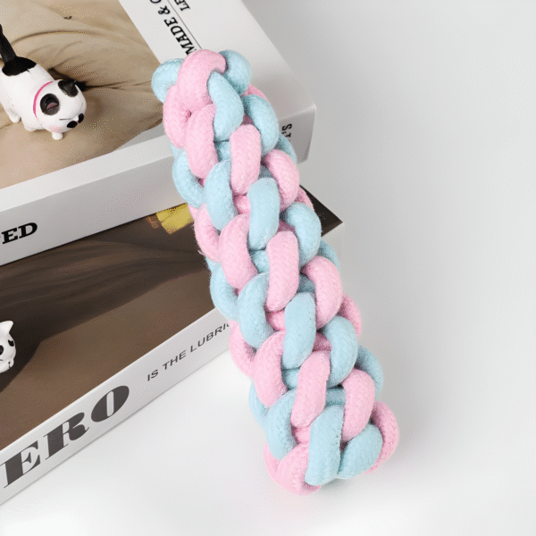 Set X10 juguetes masticables para perros y gatos