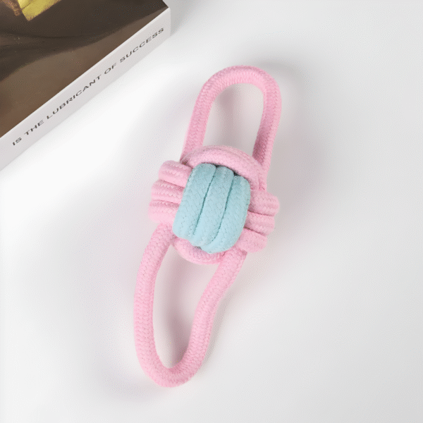 Set X10 juguetes masticables para perros y gatos